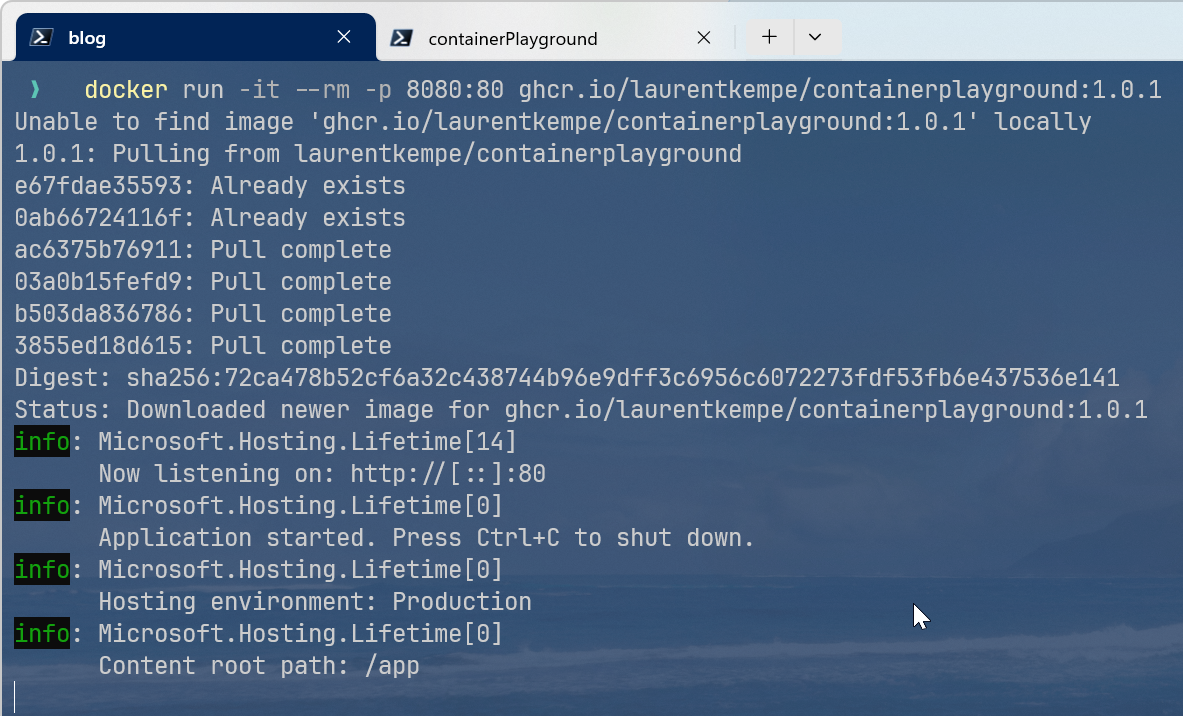 GitHub Action Package Docker Run